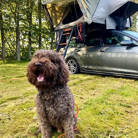 Campsite Lillelandsted