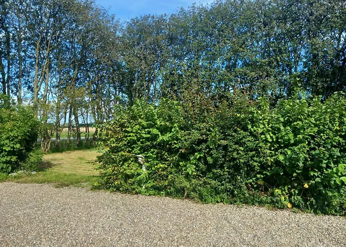 Lille キャンプ場 *